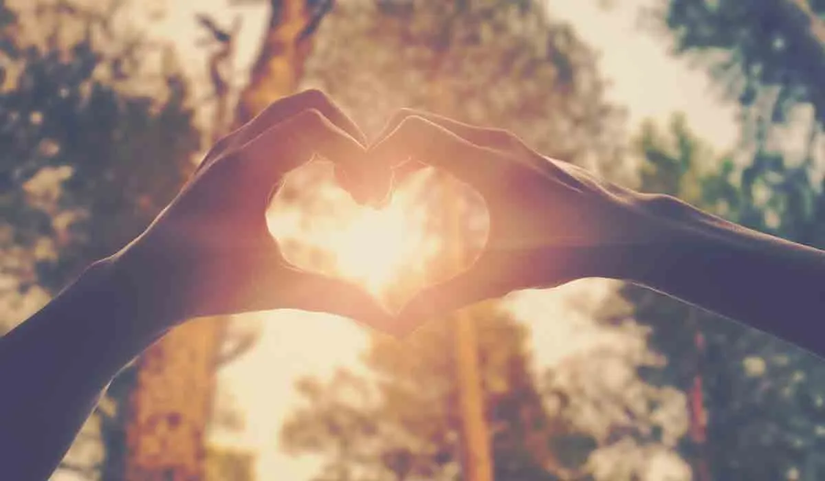 para que exista el amor es necesaria la voluntad