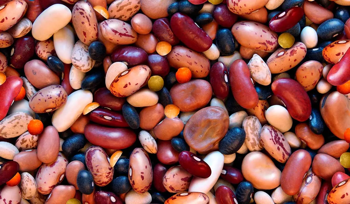 comer frijoles te ayudará con todo esto