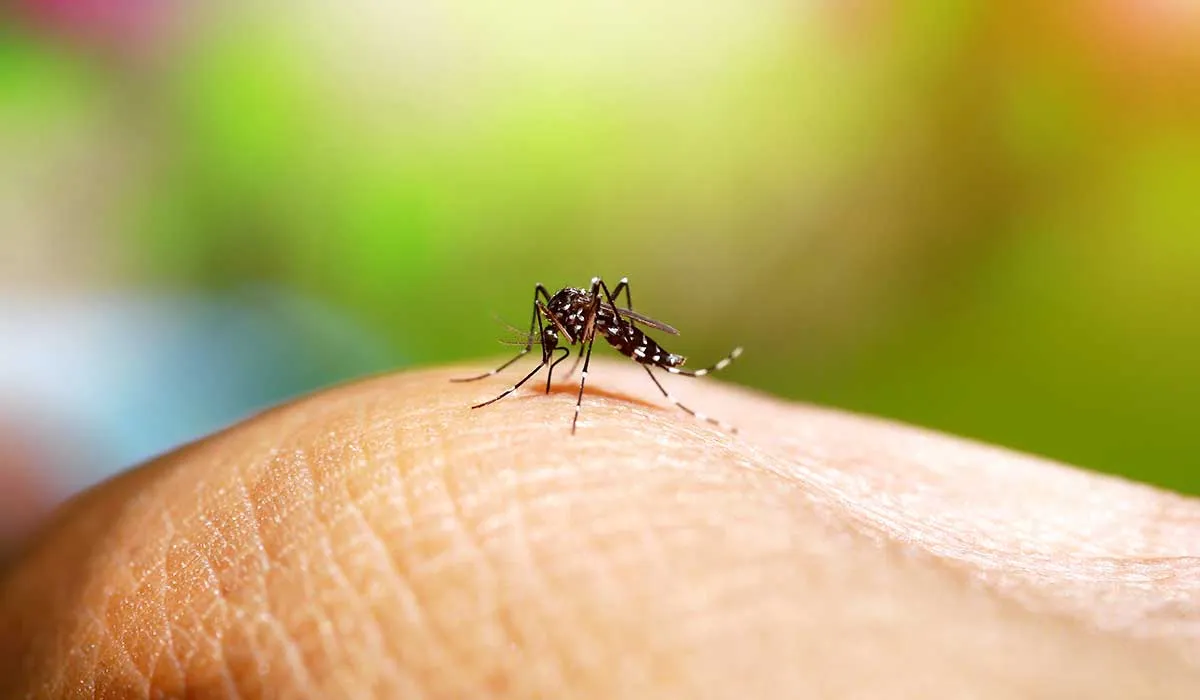 existen colores que repelen y atraen a los mosquitos