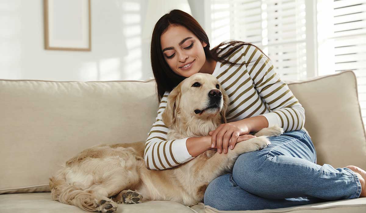 soluciones para eliminar el olor a perros en casa