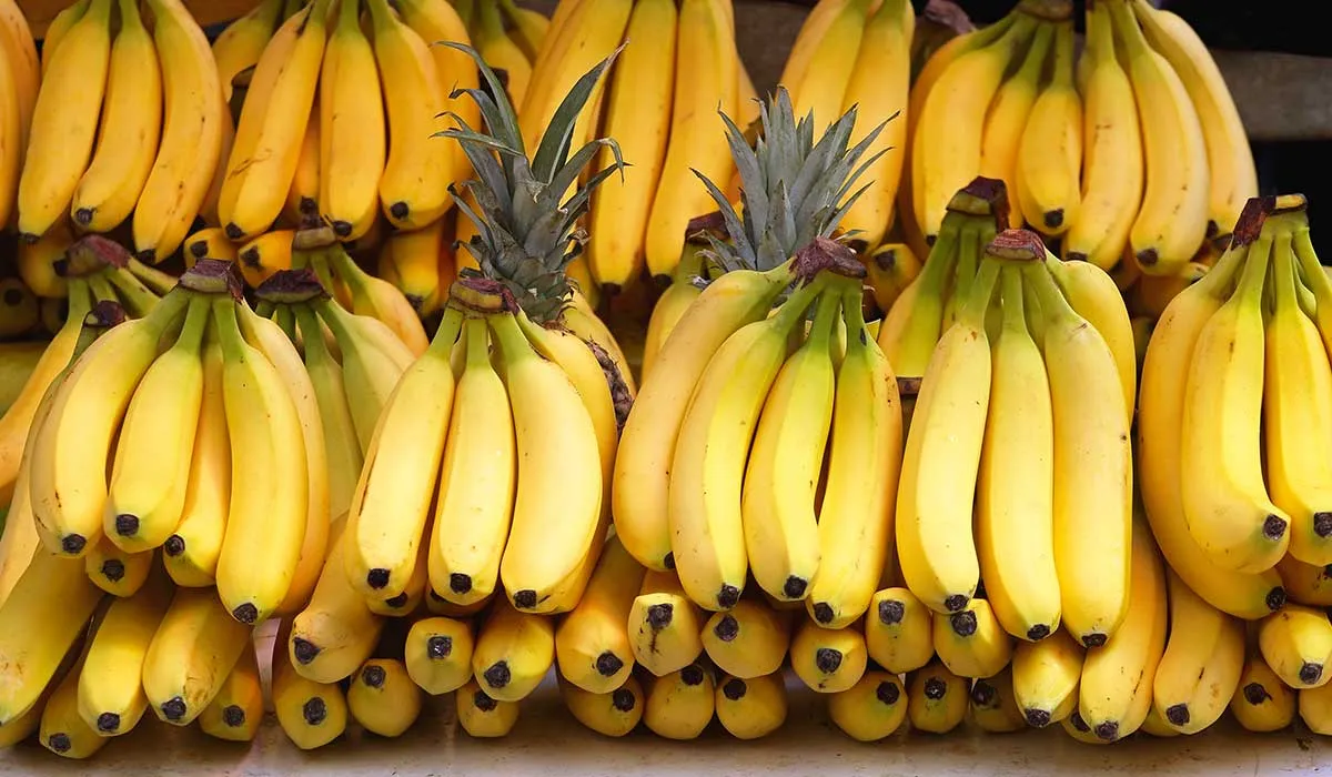 beneficios para la salud de los plátanos