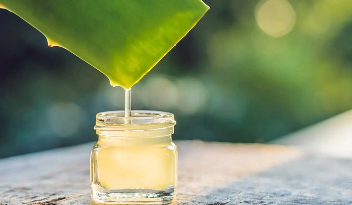 qué es el jugo de aloe vera y para qué sirve