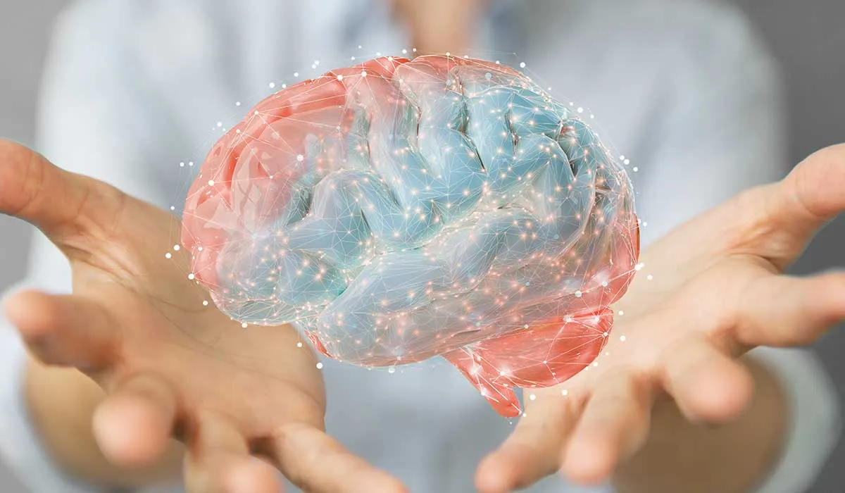 el boton de borrar que tiene tu cerebro