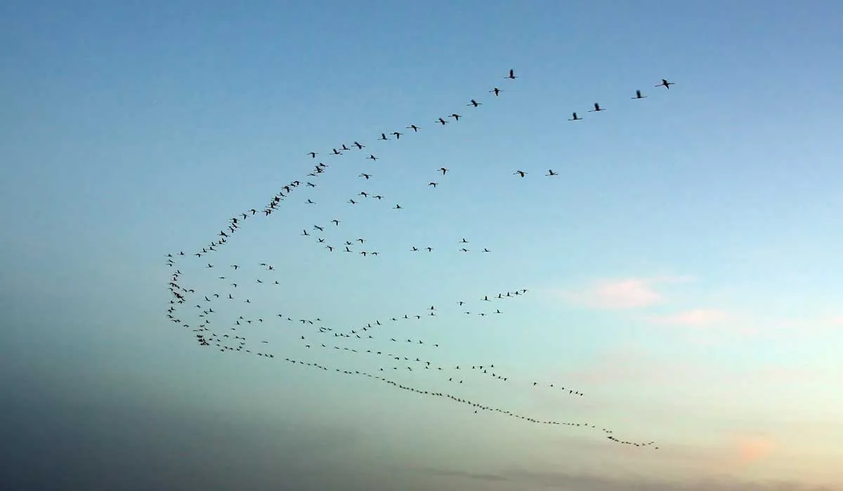 misterios que los científicos aun no pueden resolver