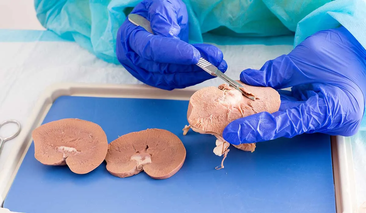teorías médicas que fueron censuradas y eran verdaderas