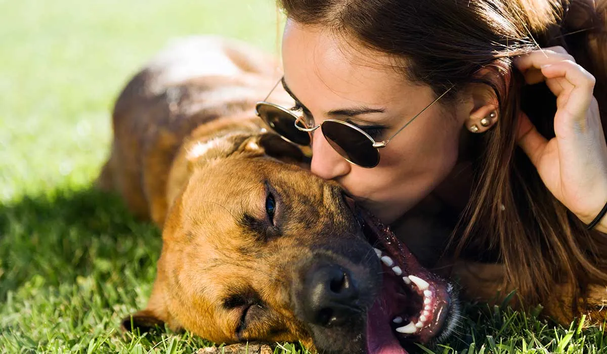 hábitos que afectan y ponen en peligro a tu perro