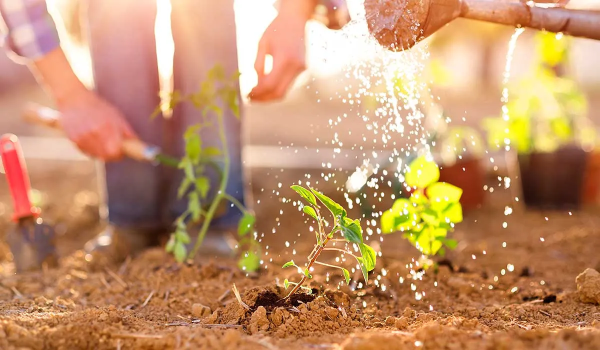 tips para tu jardín