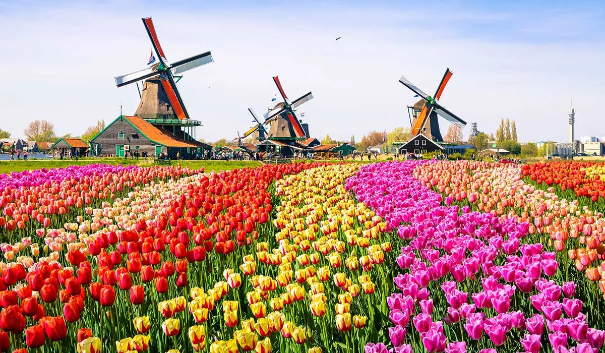 Ya no más Holanda ahora será Países Bajos