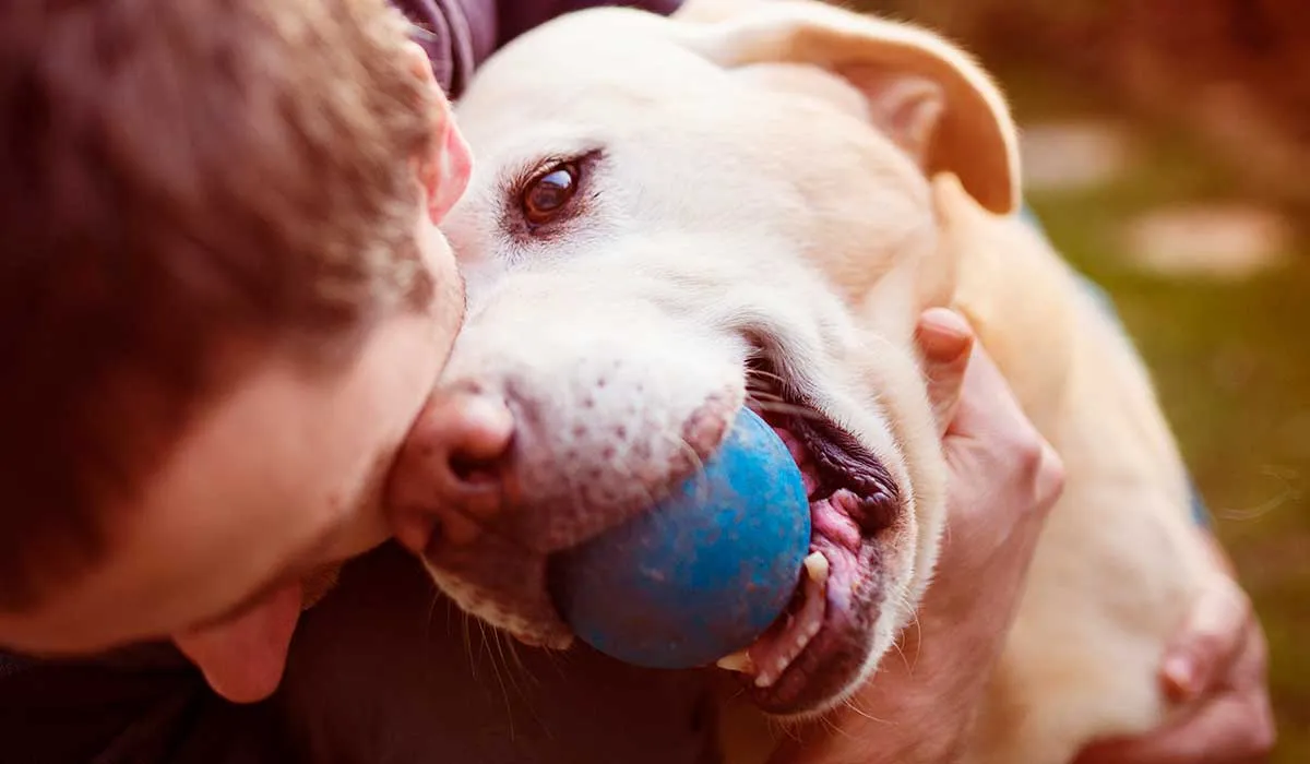 los perros son felices cuando se sienten queridos y lo demuestran