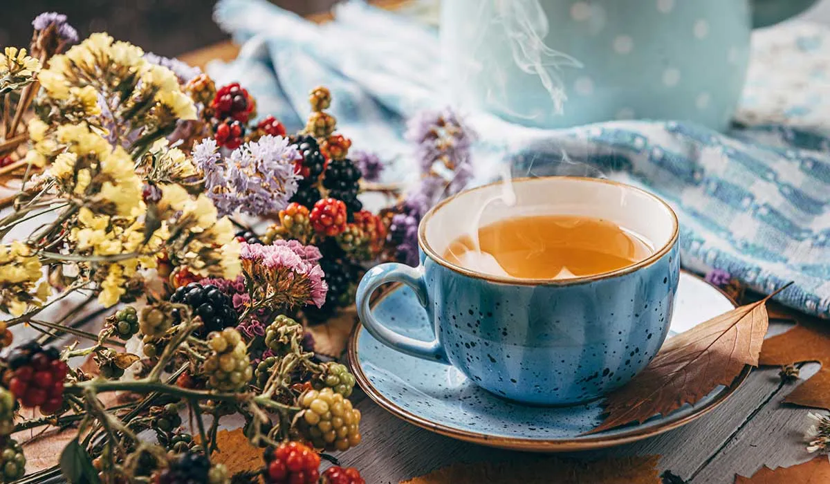 utiliza el té si tienes problemas para dormir
