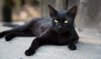 la suerte puede ser muy rara