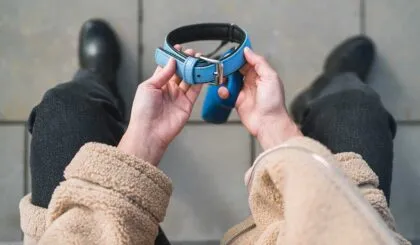 nuevas formas de despedir a tu mascota