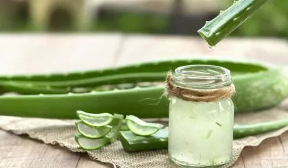 El aloe vera tiene beneficios para el cabello