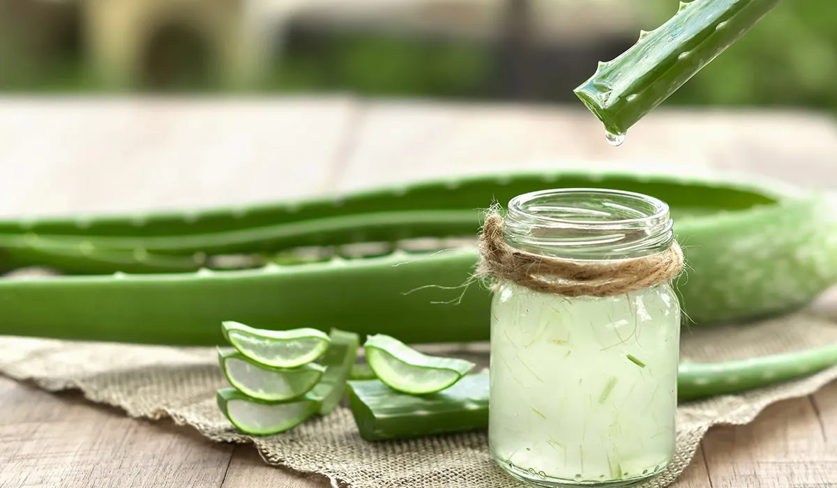 El aloe vera tiene beneficios para el cabello
