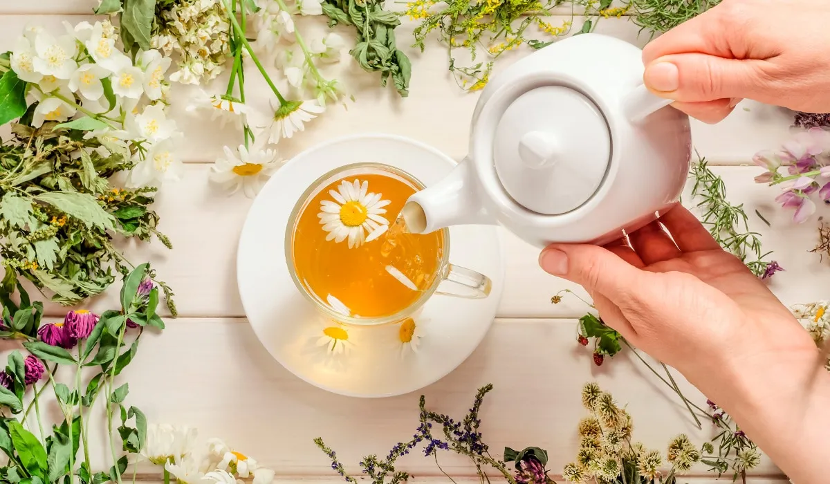 Beneficios de las 5 infusiones más populares