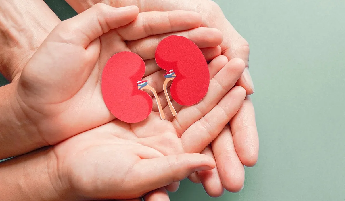 Mantener sanos riñones