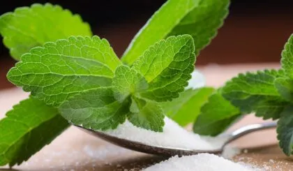 Es buena o mala la estevia