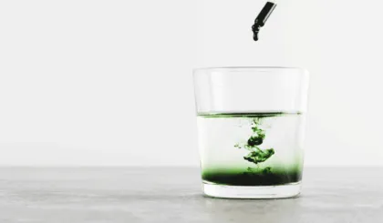 La clorofila, ese vibrante pigmento verde que adorna las plantas y algunas algas, es mucho más que un simple color