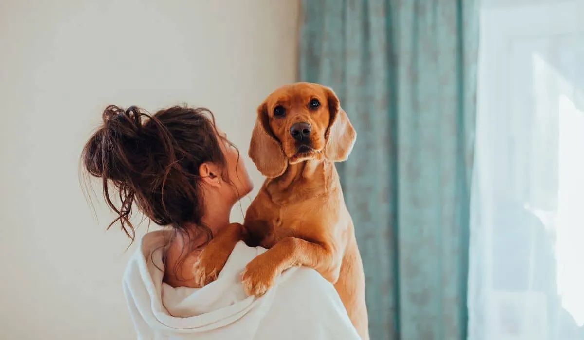 Tú y tu perro probablemente tengan la misma personalidad