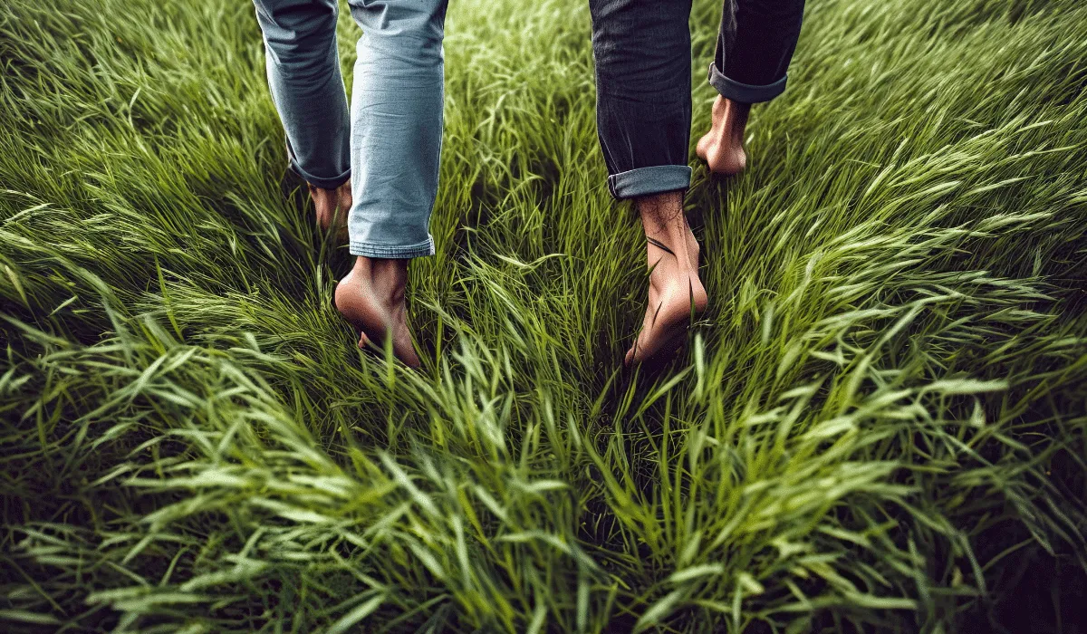 la técnica de conexión a tierra