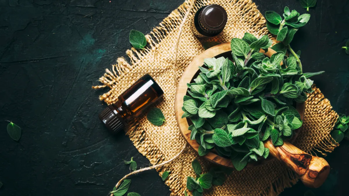 beneficios para la salud del aceite de orégano
