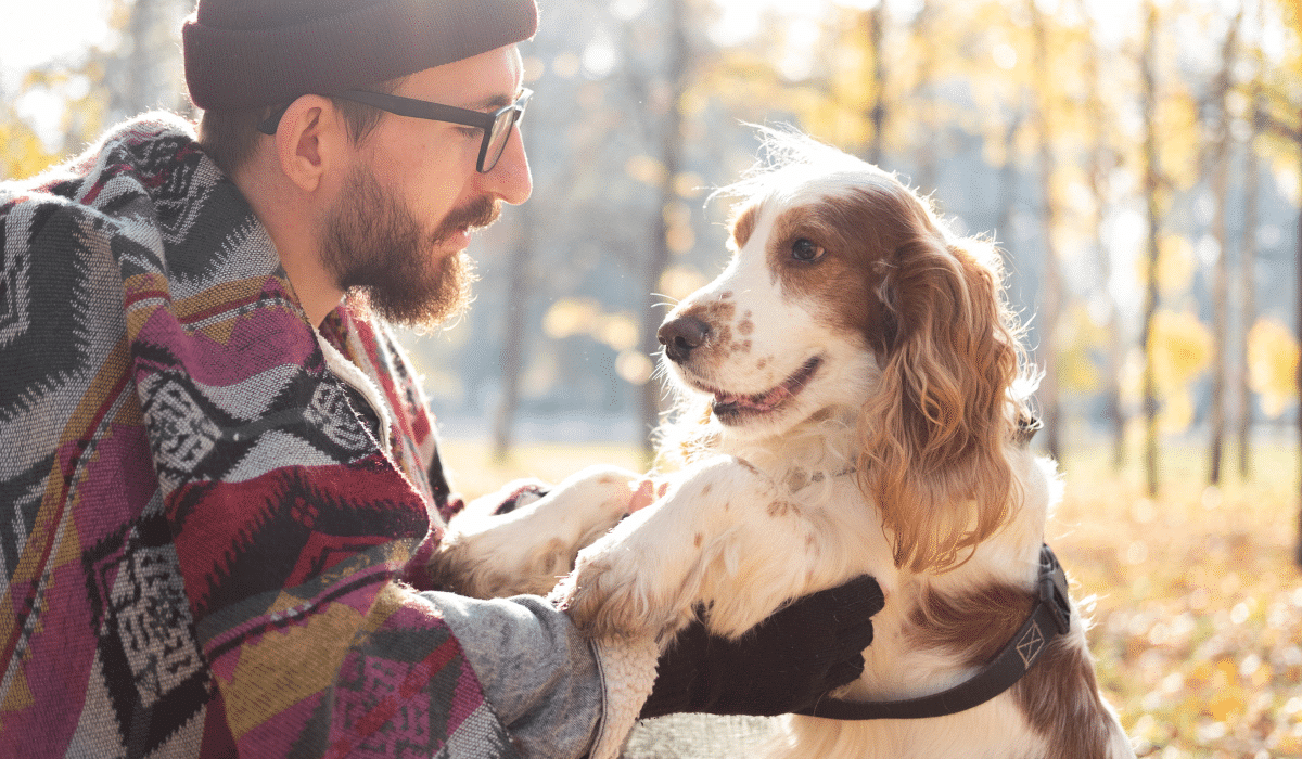 Cómo tener un viaje de campamento exitoso con tu mascota