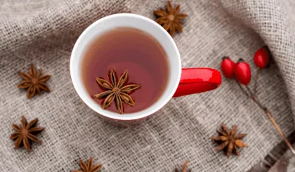 gases y acidez estomacal