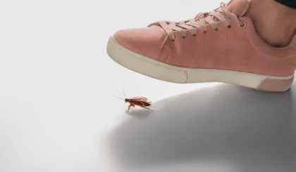 si ves una cucaracha no la pises