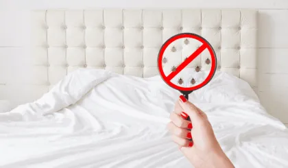 eliminar las chinches