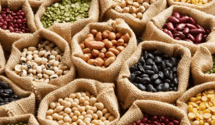 legumbres
