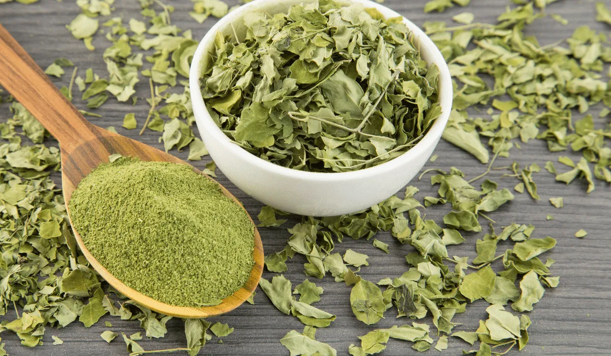Moringa sus beneficios nutritivos y medicinales