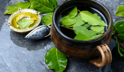 Por qué tomar té de laurel en ayunas
