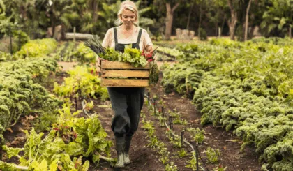 alimentación sostenible