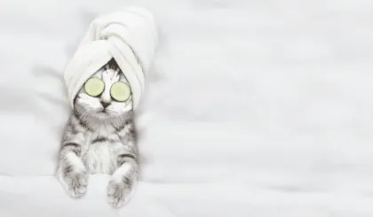 Cómo reducir las bolsas en los ojos