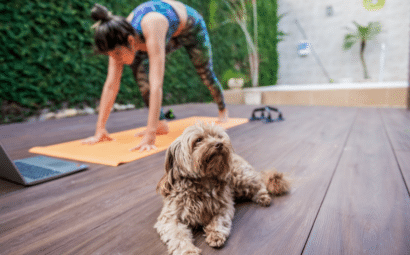 ejercicios que puedes hacer con tu perro