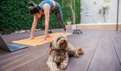 ejercicios que puedes hacer con tu perro