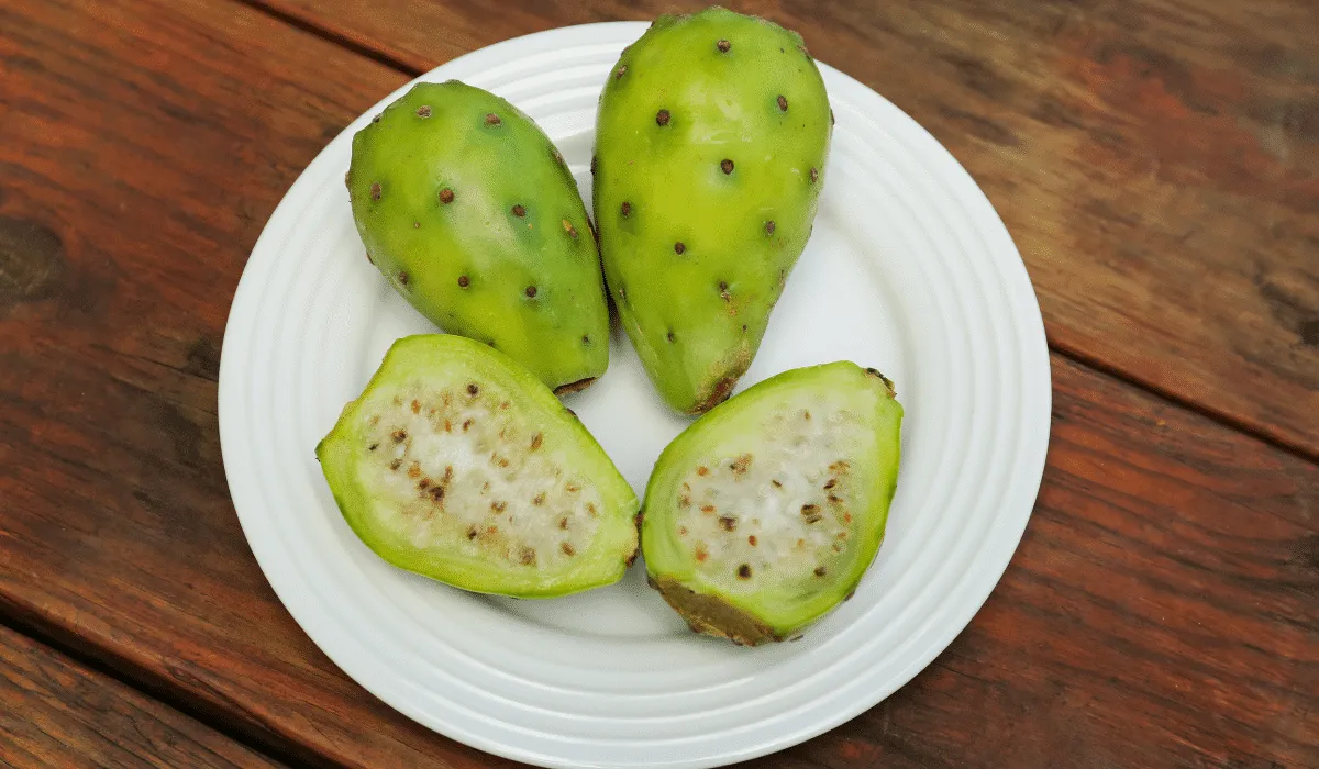 Las tunas nos tapan o no