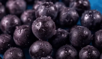 Beneficios de açaí