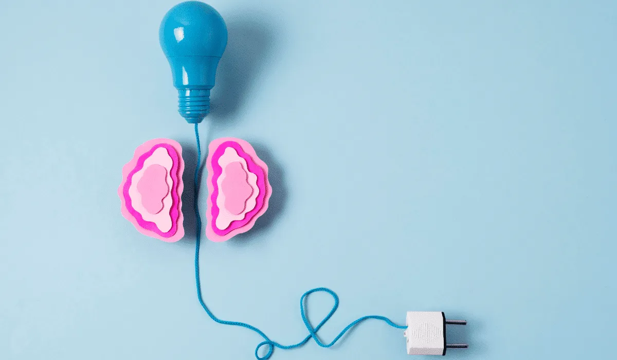 Cómo mejorar tu memoria y aumentar tu poder cerebral