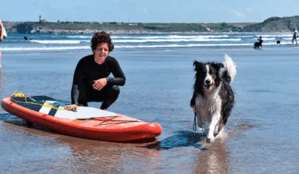 Dosis de Perritos surfeadores