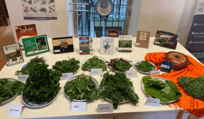 Los quelites: alimentación milenaria