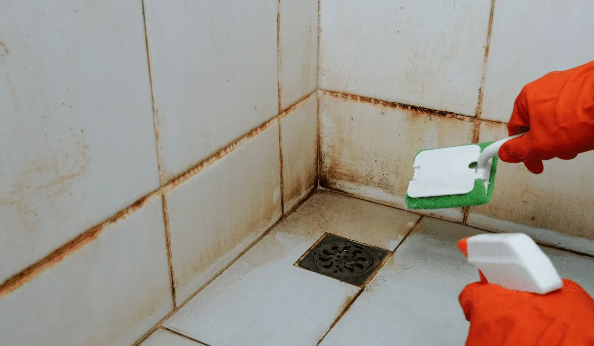 ¿Cómo eliminar el sarro del piso de la regadera?