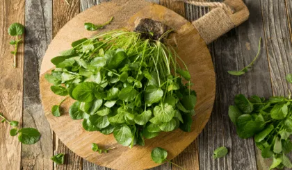 Esta es la verdura más sana del mundo