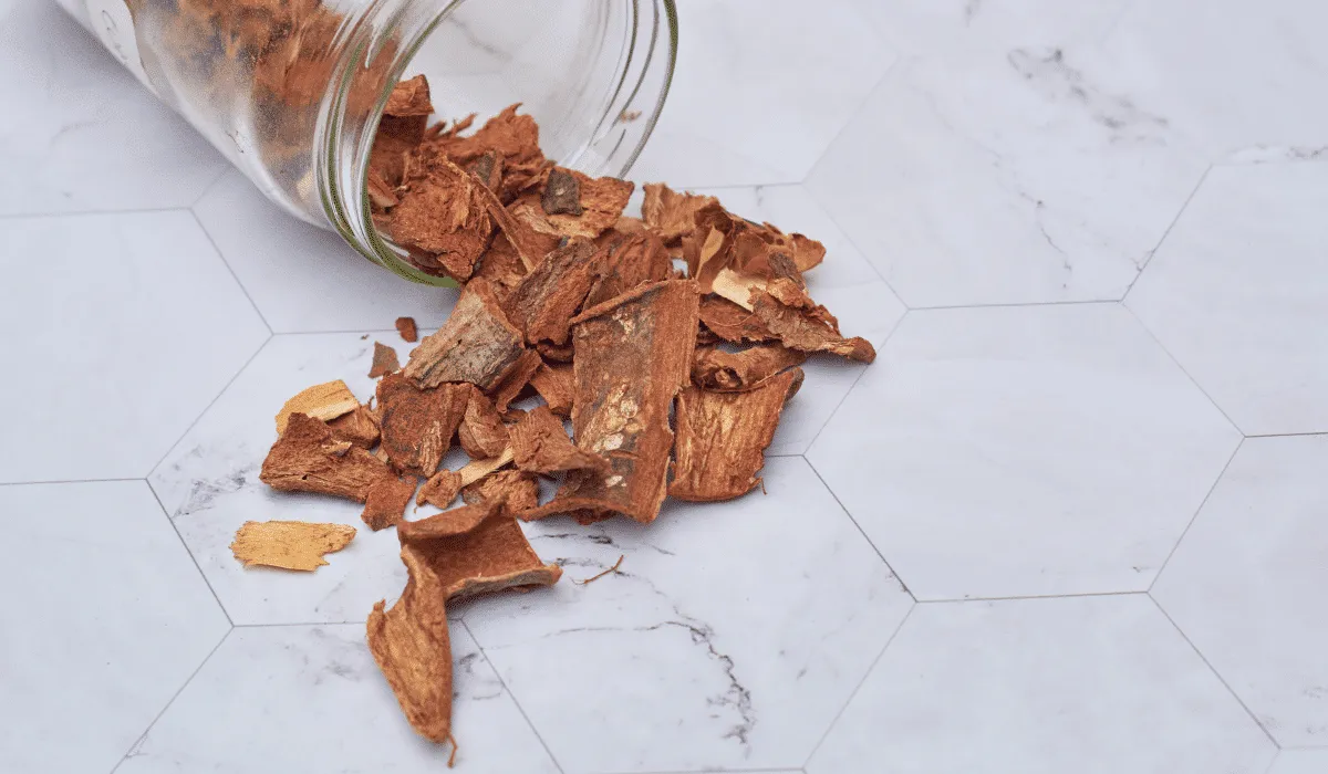 Cuachalalate para combatir la gastritis