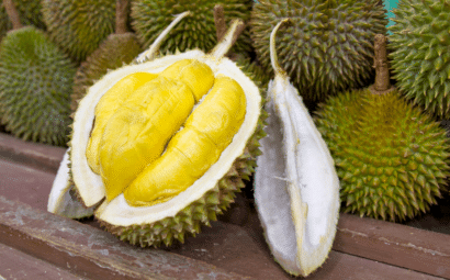 Durian: la fruta más apestosa del mundo