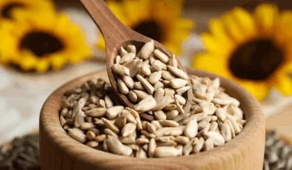 semilla de Girasol aliada contra el envejecimiento de la piel