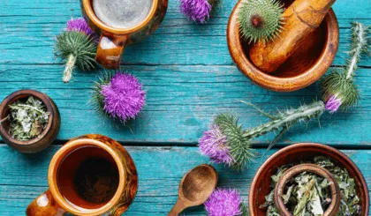 té de cardo mariano