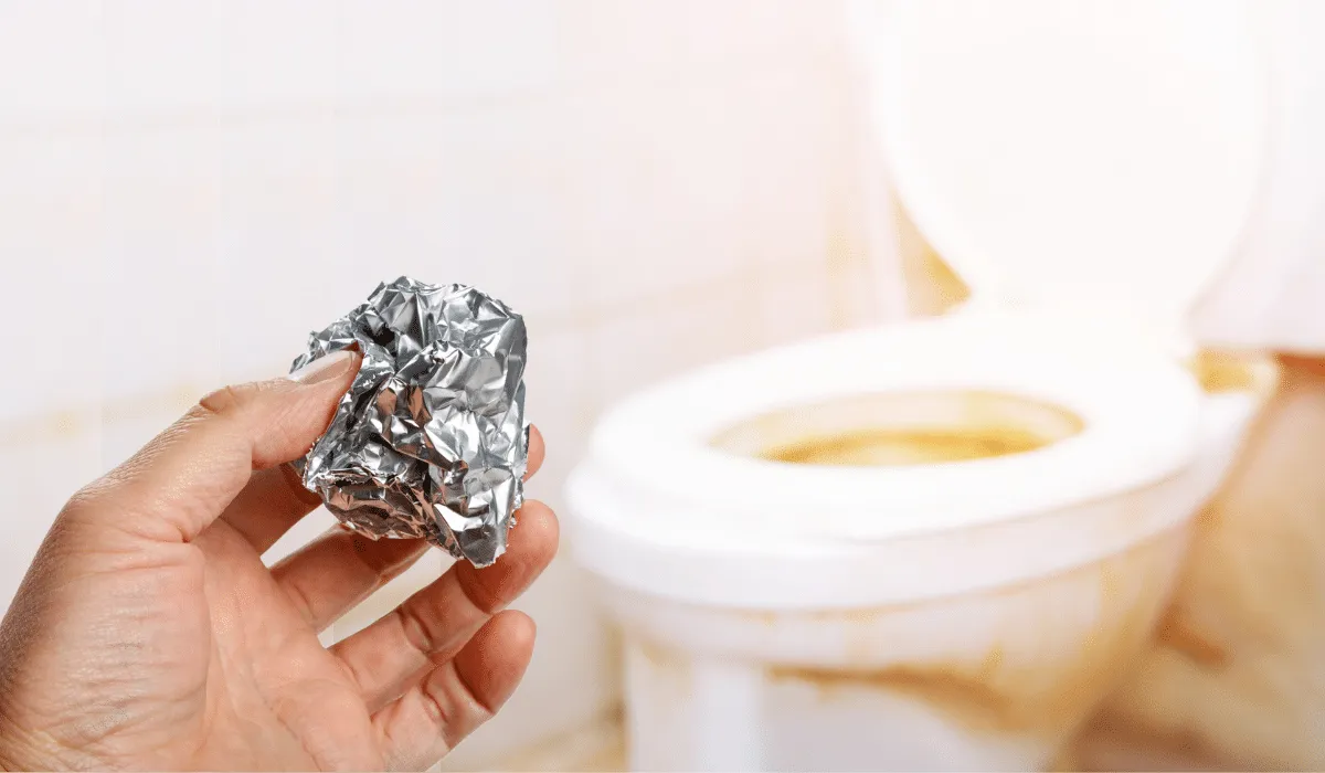 Papel aluminio dentro del inodoro (1)