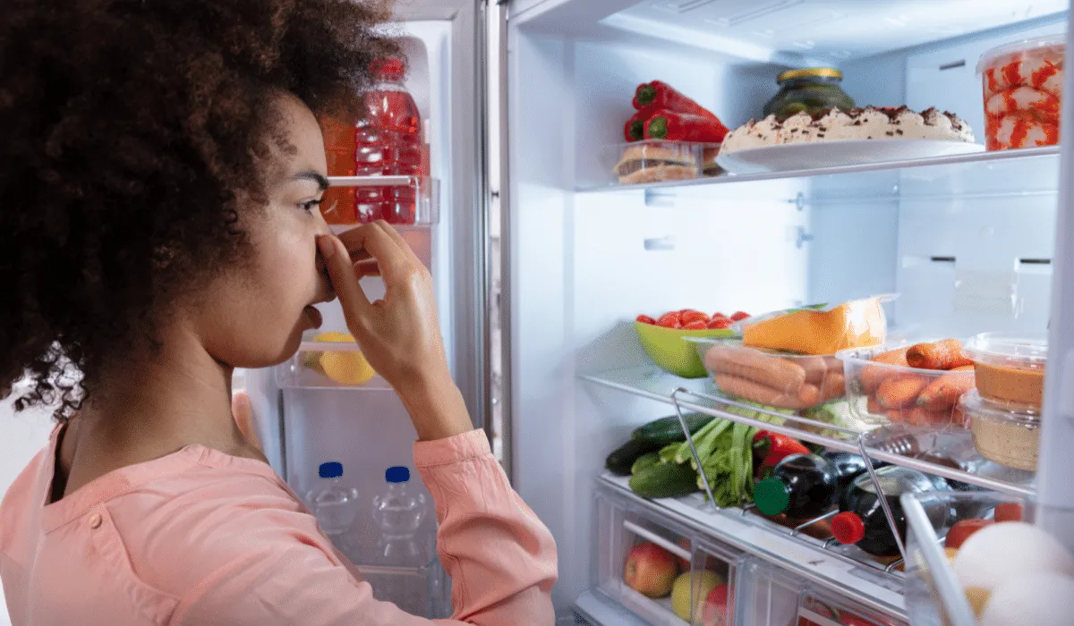 Por-que-mi-comida-sabe-y-huele-a-refrigerador