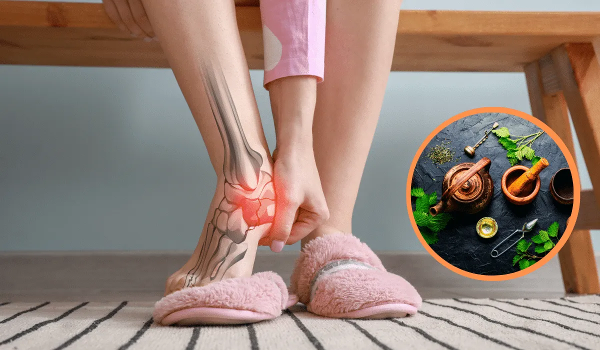 Protege salud ósea con plantas